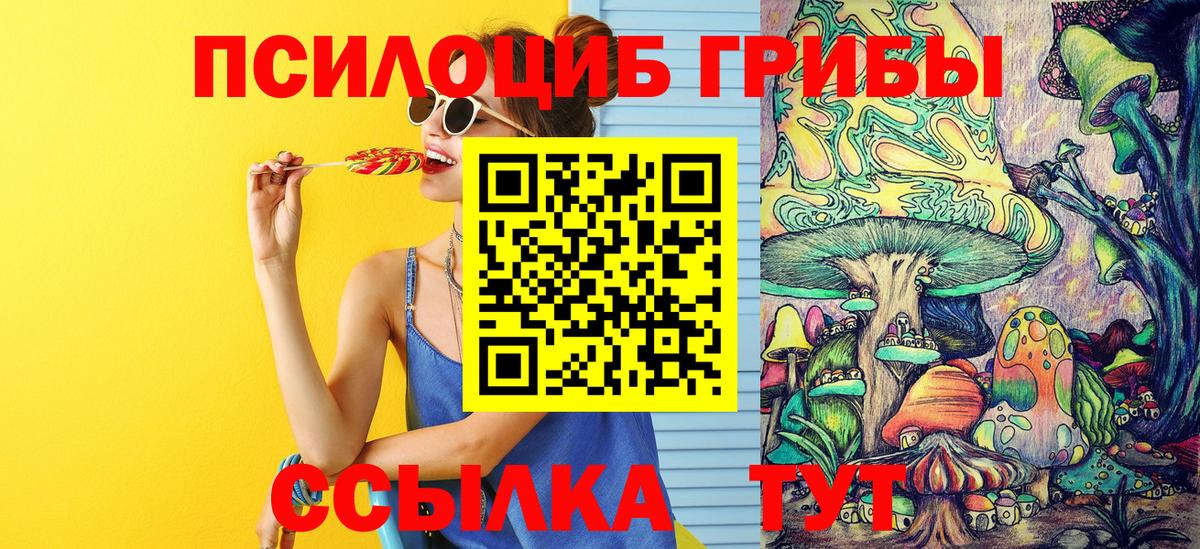 Домодедово  Псилоцибиновые грибы Psilocybine cubensis  Вход с VPN 
